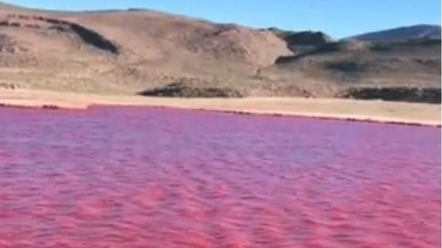 El río Nilo se tiñó de color vino. (Foto: captura de video).&nbsp;