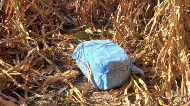 Narcotráfico: detienen en Brasil a un empresario que operaba como distribuidor desde Ybarlucea