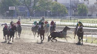 De no creer. El caballo, sin su jockey, se cruza con el resto de los competidores, lo que pudo traer consecuencias graves.