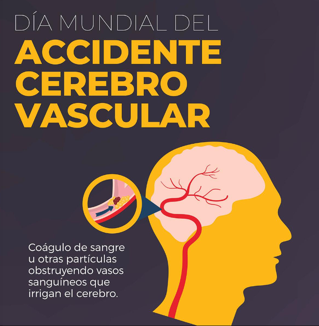 En Argentina hay 50.000 casos por año de ACV. Es la cuarta causa de muerte en el país. Científicos argentinos crearon asistente virtual en WhatsApp.&nbsp;