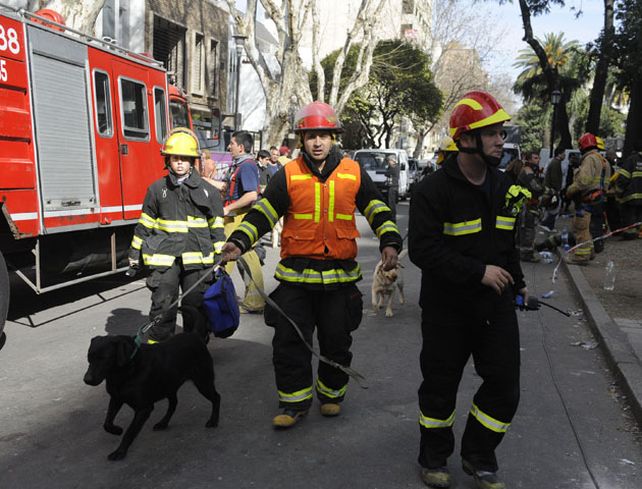 Lamberto dijo que tres perros detectaron algo en el lugar de la búsqueda