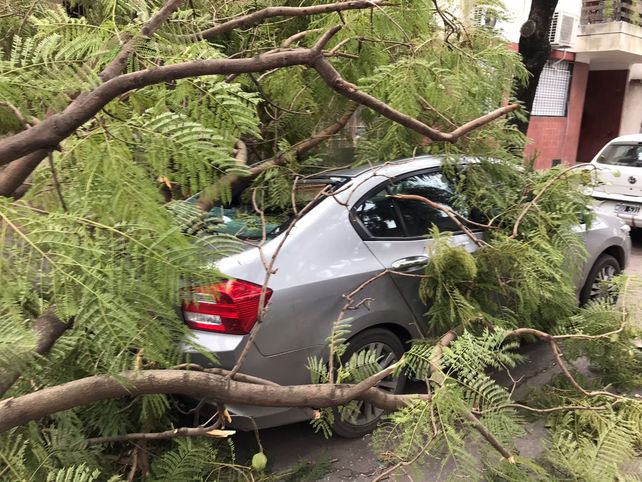 Destrozos y voladuras de techos por el temporal de viento que azota a ...