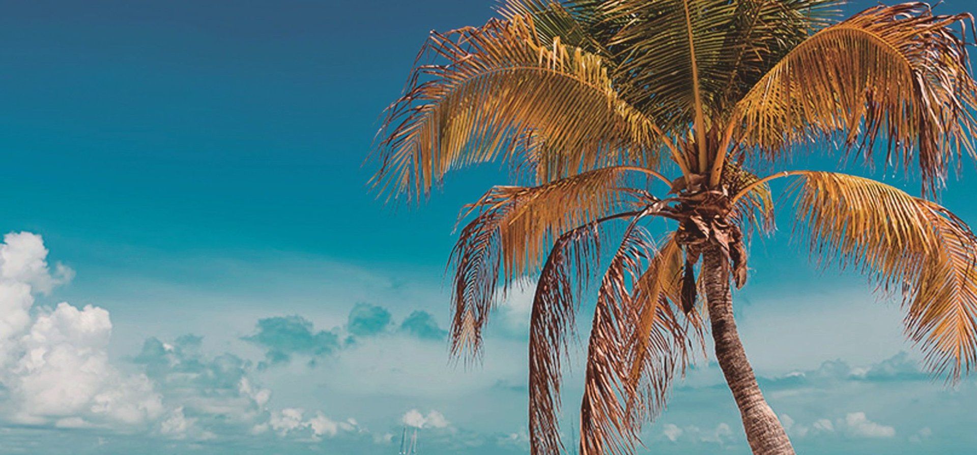 Riviera Maya: un viaje entre el turquesa del mar y la historia viva