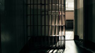 Proponen reducir las penas a los presos que donen órganos o médula ósea