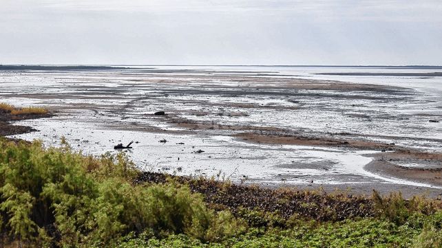 Con la falta de agua comienza a aparecer la vegetación&nbsp;