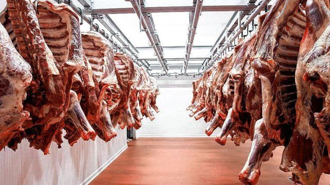 Exportación de carne se redujo notablemente 