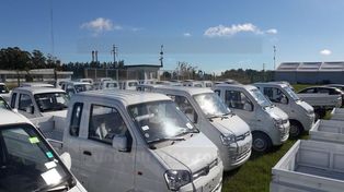 Acopio. Los automotores ocupan un gran espacio en el predio.