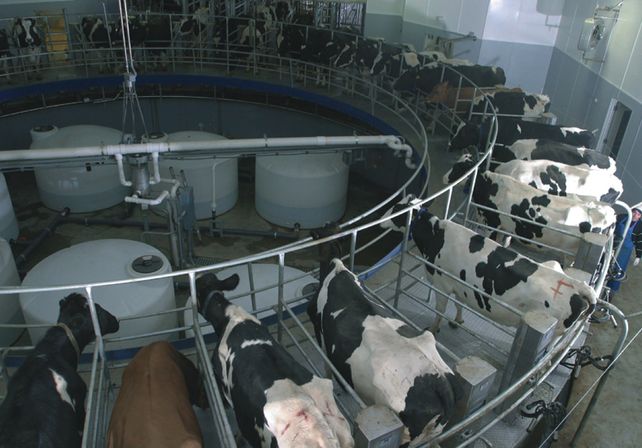 Santa Fe presentó una completa iniciativa para superar la crisis de la industria láctea