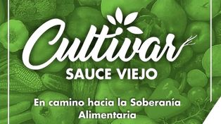 Entrega de semillas en Sauce Viejo