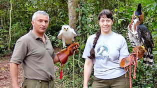 Una reserva de animales de singular atracción turística en Puerto Iguazú