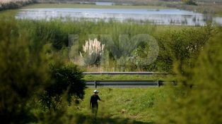 Una reserva natural urbana para proteger al oeste del agua