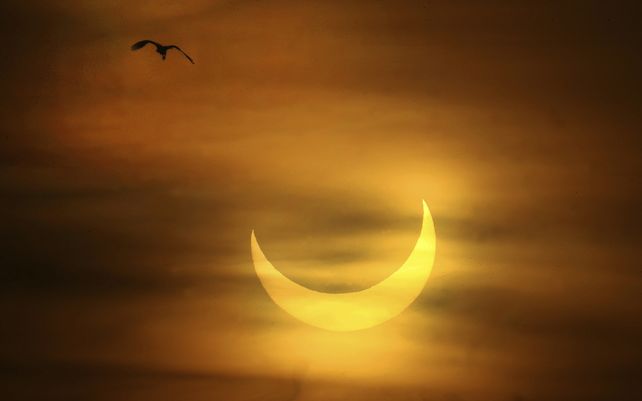 Un eclipse anular se pudo ver al amanecer sobre el puerto de Plymouth