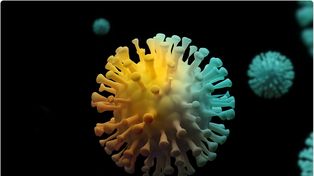 Predicen que el  coronavirus se hará endémico pero menos peligroso