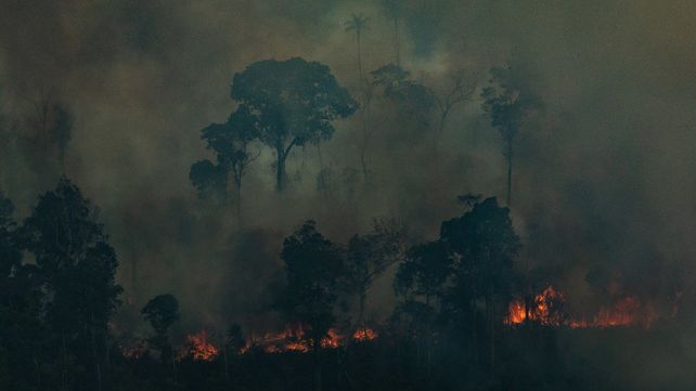 El día del fuego. Los hacendados. y mineros independientes quemaron campos de Pará el 10 de agosto.
