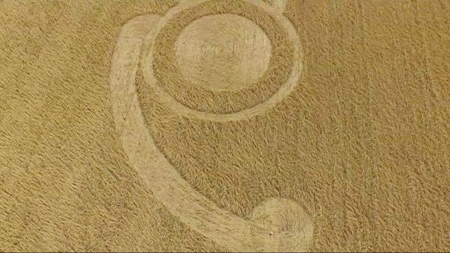 Nuevas marcas extrañas en un campo de Malabrigo