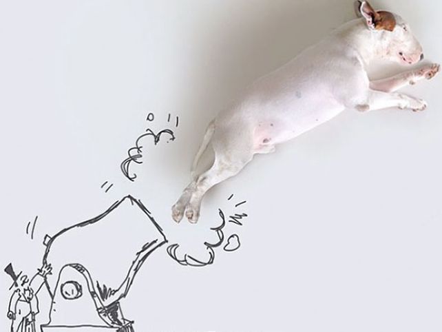 Su esposa lo dejó, pero creó un mundo con su perro