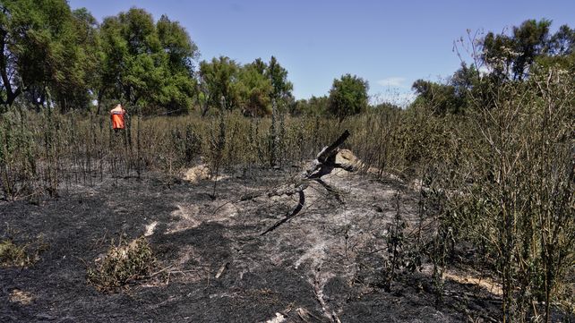 Los bomberos trabajaron muchas horas dentro de la nube de humo.