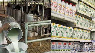 ¿Por qué el precio de la leche aumenta tanto del tambo a la góndola?
