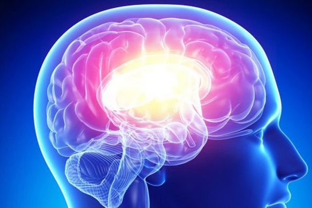 Un estudio demostró que los tests de inteligencia universal no sirven