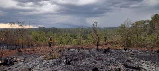 Los bomberos santafesinos trabajan intensamente para salvar selva autóctona