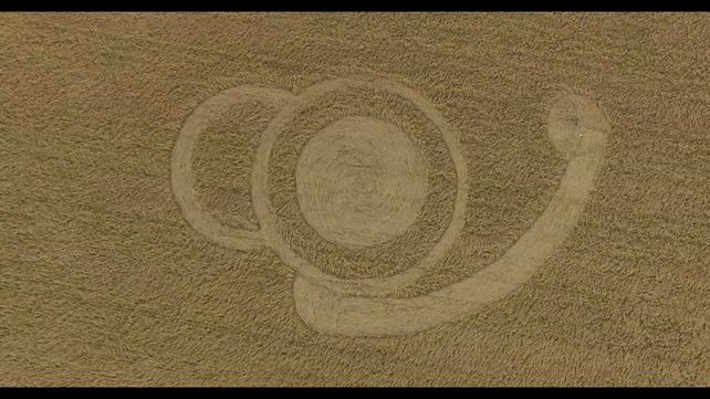 Nuevas marcas extrañas en un campo de Malabrigo