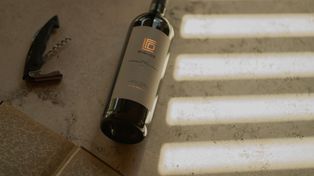 Día del Cabernet Sauvignon: los secretos de los premiados vinos argentinos