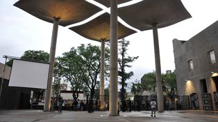 Actividades culturales para celebrar el 25 de mayo