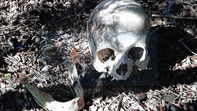 Macabro: encontraron un cráneo en un camino de tierra