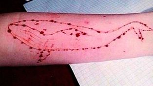 Murió un adolescente en Entre Ríos en un caso atribuido al juego de La ballena azul