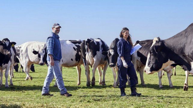 Mastellone Hnos. destaca el rol estratégico de los productores y tamberos dentro de la cadena láctea