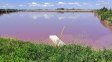 Arroyo Espinillo: analizan el agua y refuerzan la vigilancia