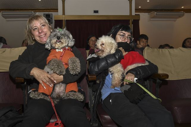 La primera función pet friendly del Sudamérica se llevó a cabo en una una sala adaptada del Teatro Seminari Cine Italia