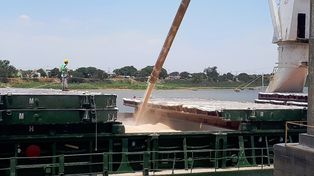 Se exportaron más de 50.000 toneladas y se concretaron 20 embarques desde el puerto de Santa Fe