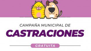 La campaña de castración de mascotas en Santo Tomé llega a la vecinal Adelina Este