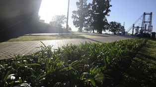 Una jornada soleada y con altas temperaturas