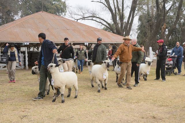 La Expo Rural Venado Tuerto 2024 fue un éxito en participación y diversidad