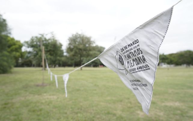 Memoria, verdad y justicia: un árbol por Juane Basso, símbolo de la lucha persistente
