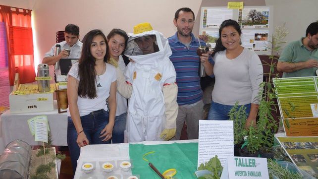 Formación. Se hace hincapié en la armonía con el ambiente.