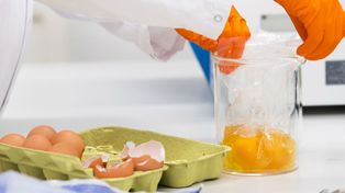 Diecisiete países europeos están afectados por huevos contaminados de insecticida