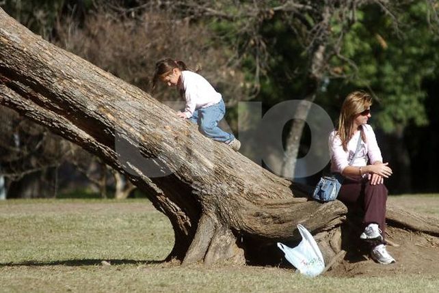 Un calor atípico en agosto genera amplitud térmica en localidades y regiones
