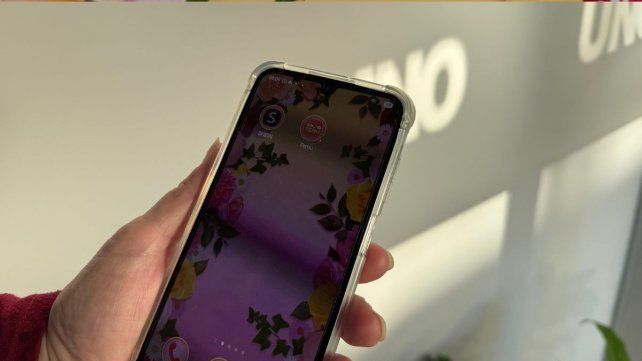 Pymes santafesinas en alerta por boom de importaciones online: en 10 meses se triplicaron las compras a Shein y Temu