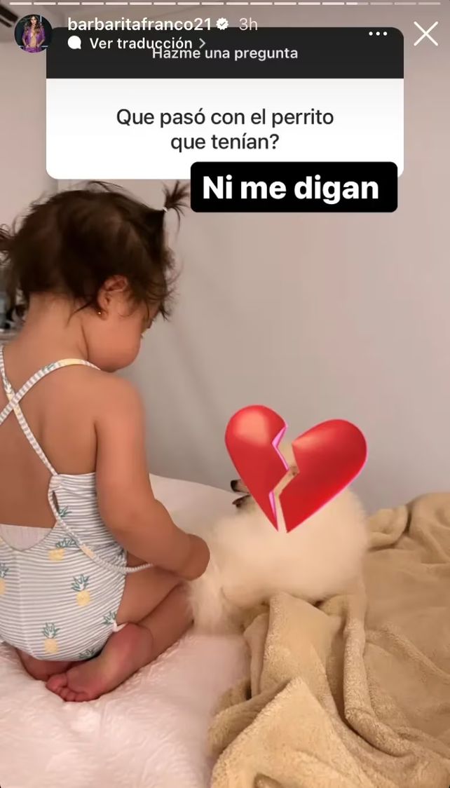Cristian Castro, Susana Giménez y una novela mexicana sobre un perro de 4000 dólares