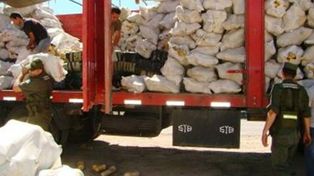 Gerdarmería incautó más de mil kilos de marihuana ocultos en un camión con zapallos