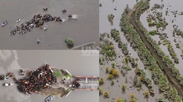 En los Bajos Submeridionales