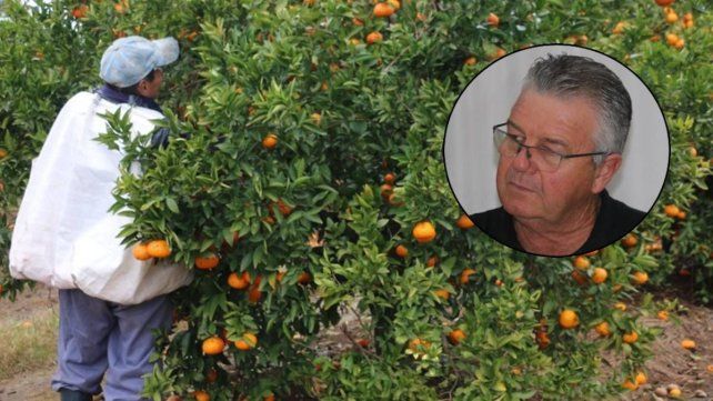 El productor Mario Toler expuso la crítica situación del sector citrícola