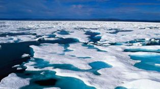 Científicos alertan sobre el deshielo en Groenlandia por el calentamiento global