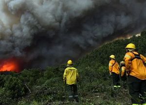Incendios: siguen focos activos en Parque Nahuel Huapi y Parque Nacional Lanín