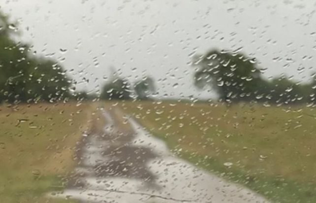 Las últimas lluvias&nbsp;abren una ventana de esperanza para la nueva campaña gruesa que ya pide pista para salir&nbsp;(Foto @guillermoallo)