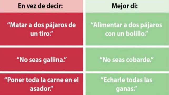 El pedido de Peta Latino en defensa de los derechos de los animales.&nbsp;