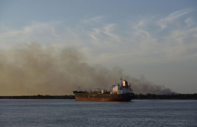 Delta del río Paraná: el fuego arrasó 300 mil hectáreas y devastó a fauna y flora de los humedales